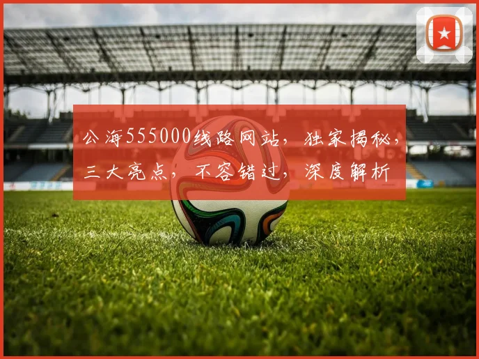 公海555000线路网站，独家揭秘，三大亮点，不容错过，深度解析