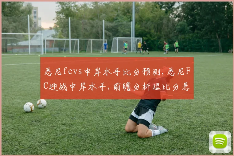悉尼fcvs中岸水手比分预测,悉尼FC迎战中岸水手,前瞻分析逗比分悬念
