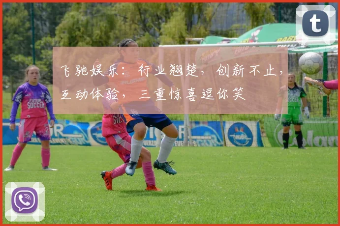 飞驰娱乐：行业翘楚，创新不止，互动体验，三重惊喜逗你笑