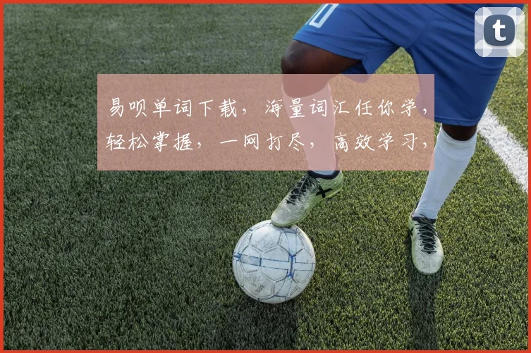 易呗单词下载，海量词汇任你学，轻松掌握，一网打尽，高效学习，必备神器，三步到位