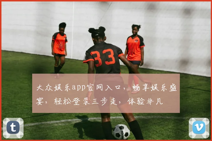 大众娱乐app官网入口，畅享娱乐盛宴，轻松登录三步走，体验非凡