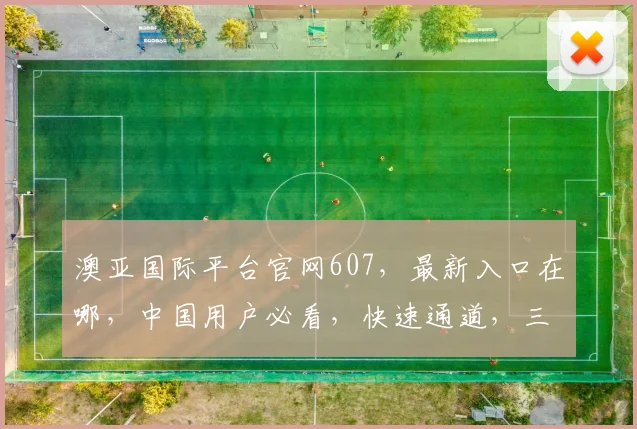澳亚国际平台官网607，最新入口在哪，中国用户必看，快速通道，三步直达