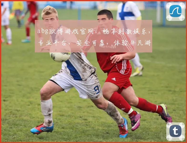 abg欧博游戏官网，畅享刺激娱乐，专业平台，安全可靠，体验非凡游戏乐趣，不容错过