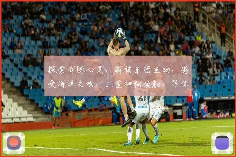 探索海豚心灵，解锁亲密互动，感受海洋之吻，三重神秘接触，等你揭秘